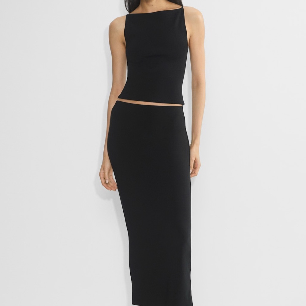 NWT Aritzia midi skirt
